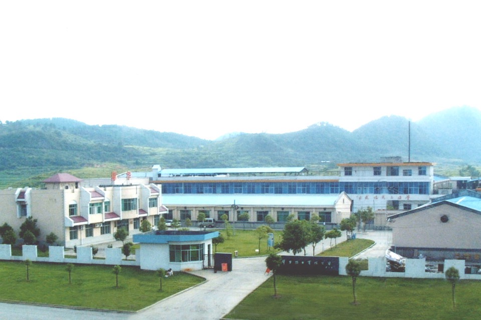 2002年