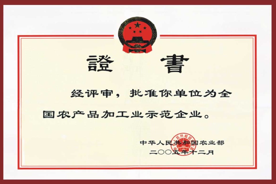 2005年