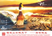 2000年
